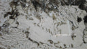 Slab of Patagonia quartzite in Patagonia quartzite - Image 1