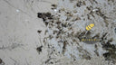 Slab of Patagonia quartzite in Patagonia quartzite - Image 2