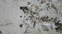 Slab of Patagonia quartzite in Patagonia quartzite - Image 5