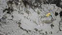 Slab of Patagonia quartzite in Patagonia quartzite - Image 3