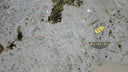 Slab of Patagonia quartzite in Patagonia quartzite - Image 4