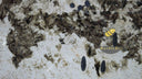 Slab of Patagonia quartzite in Patagonia quartzite - Image 5