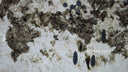 Slab of Patagonia quartzite in Patagonia quartzite - Image 7