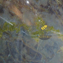 Golden Lightning Granite Slab in Golden Lightning Granite - Image 2