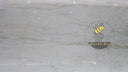 NAMIB BIANCO Slab in 皇家白玉 - Image 1