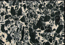 Napoleon Black Marble Slab in Napoleon Black Marble - Image 2