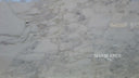 Dover White Marble Slab in Dover White Marble - Image 1