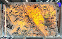 Alpinus Pegmatite Slab in Alpinus Pegmatite  - Image 2