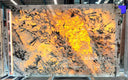 Alpinus Pegmatite Slab in Alpinus Pegmatite - Image 3