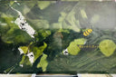Avocatus Quartzite Slab in Avocatus Quartzite - Image 3