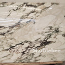 Calacatta Monet Marble Sample