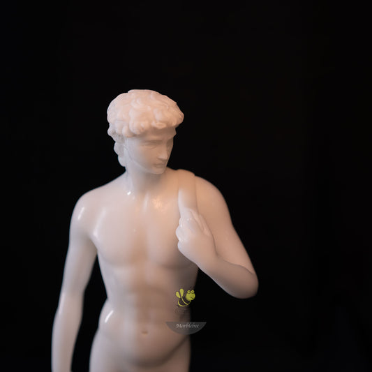 Michelangelo's David statue replica in white marble