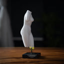 Marble sculpture of Venus de' Medici