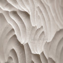 limestone wall panel in Moonlight Beige Limestone - Image 3