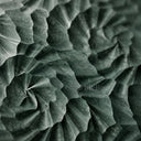 marble wall covering in Dark Green Marble - Image 2