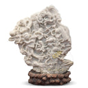 marble statue in White Marble - Image 3