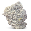marble statue in White Marble - Image 4