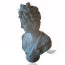Ancient Greek Philosopher Bust – Hand-Carved Marble Masterpiece
