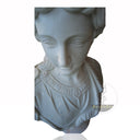 Ancient Greek Philosopher Bust – Hand-Carved Marble Masterpiece