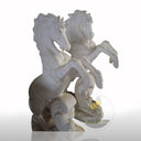 Beijing White Marble Horse