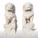 Beijing White Marble Foo Dogs