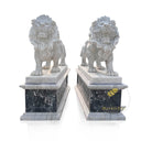 Pair Of Lion Statues With Pedestals