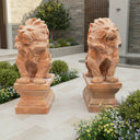 Sunset Red Marble Lion Statue