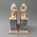 Lion Statues In Front Of House Sunset Red and Light Green Marble Pair