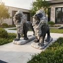 Lion Garden Statue Black Limestone Roaring Pair