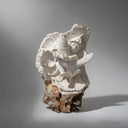 Half raw stone statue of child holding a koi fish