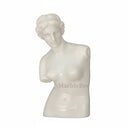 Timeless Venus de Milo White Marble Statue for Luxury Gardens
