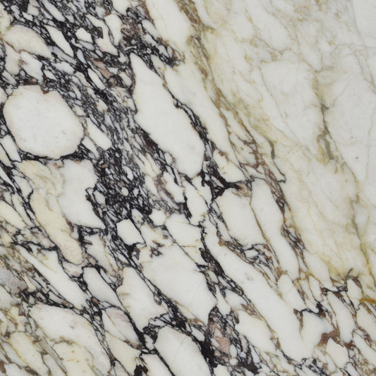 Calacatta Monet Marble Sample