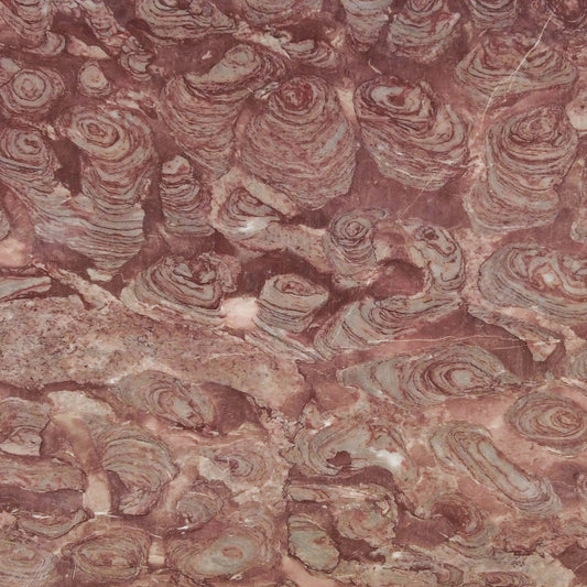 French Rose Marble Sample
