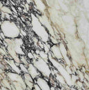 Calacatta Monet Marble Sample