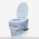 Buy White Marble Toilet