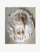 Buy Marble Lion Head