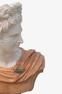 Vivid Marble Bust