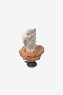 Vivid Marble Bust